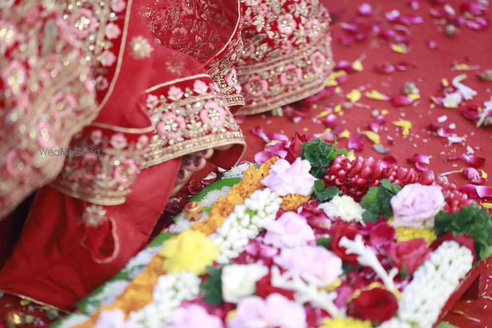 Photo From MY WORK - By Amazing Photo's