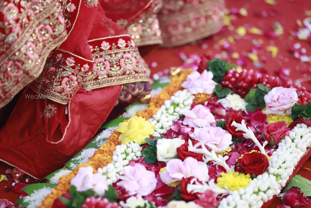 Photo From MY WORK - By Amazing Photo's