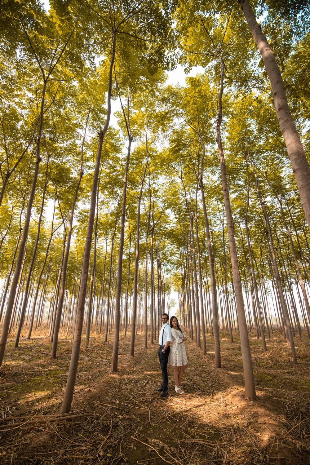 Photo From Harsh & Chandni Pre Wedding - By Layer CineWedding