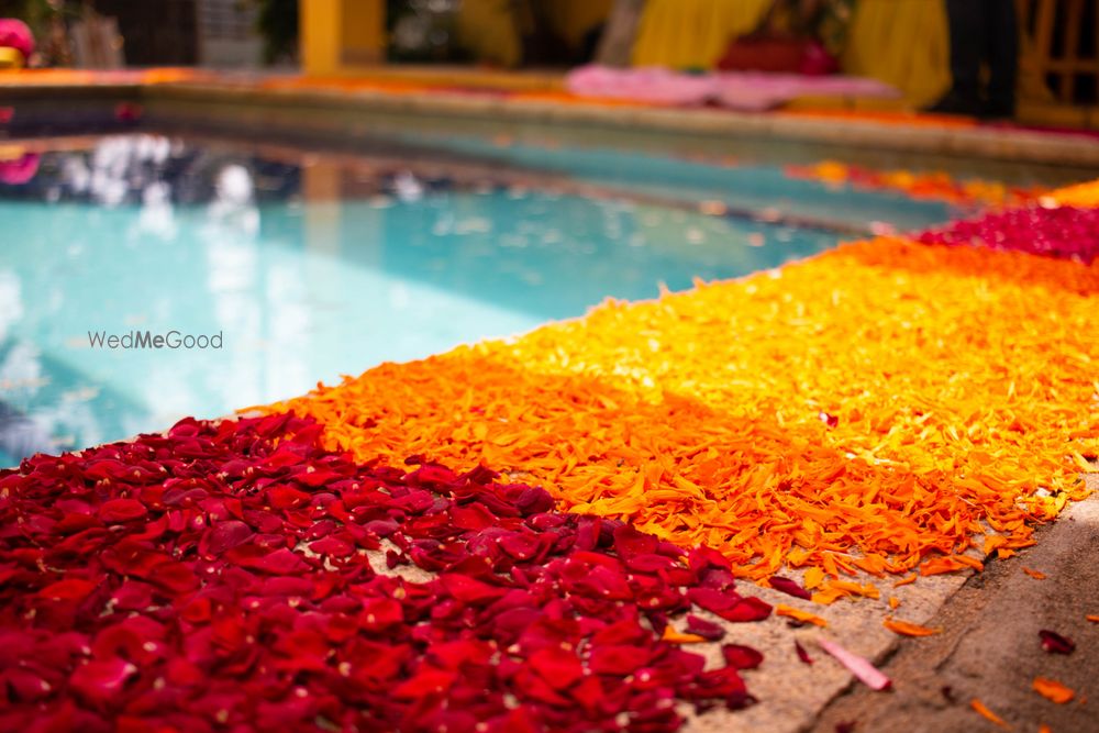 Photo From VISA's Colour Pop - By Wedding Mela