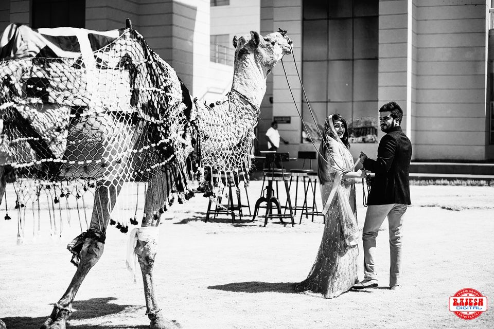 Photo From Jaipur Prachi + Bharat  Pre wedding shoot - By Rajesh Digital