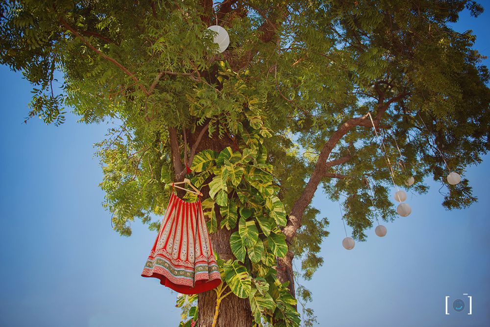 Photo of Lehenga on Hanger High Up on the Tree