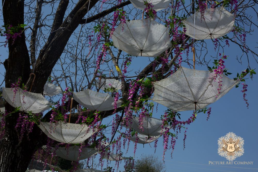 Photo of Inverted Umbrellas on Tree as Mehendi Decor