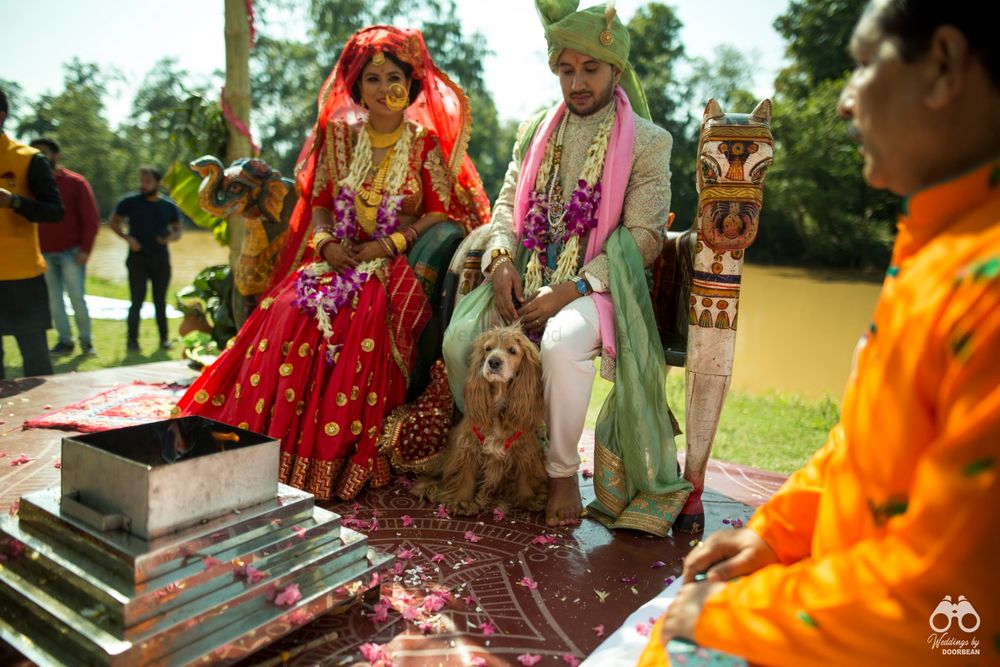 Photo From Mandeep X Payashwini | Forest Wedding | Kahna National Park - By Weddings by Doorbean
