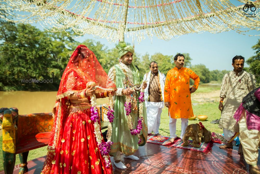 Photo From Mandeep X Payashwini | Forest Wedding | Kahna National Park - By Weddings by Doorbean