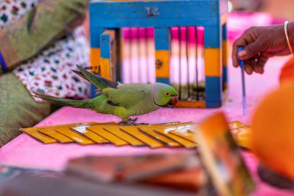 Photo From Mehendi - Jaipuri Haat - By Elysian By Fuhaar 