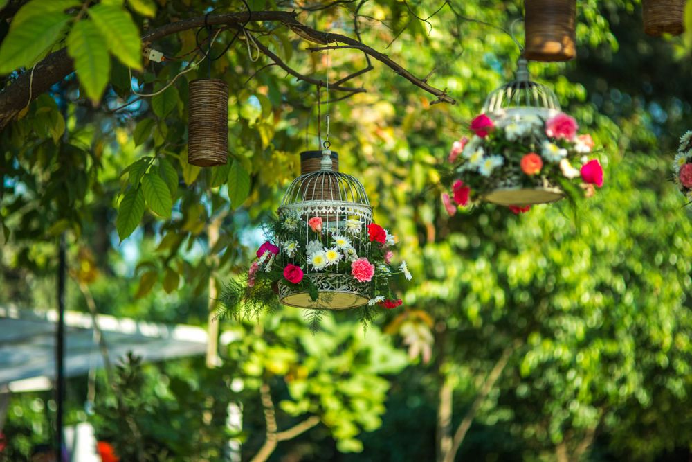 Photo of Hanging Birdcages with flowers