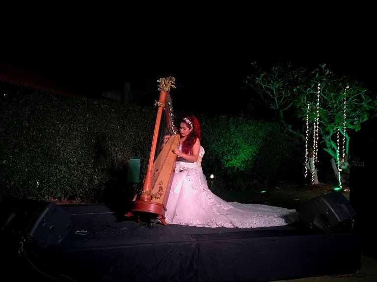 Photo From #TheLeJaindaryWedding - By Seven Shades Entertainment Wedding Planners