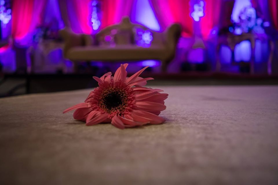 Photo From Vivek & Saloni - By DK's Photography