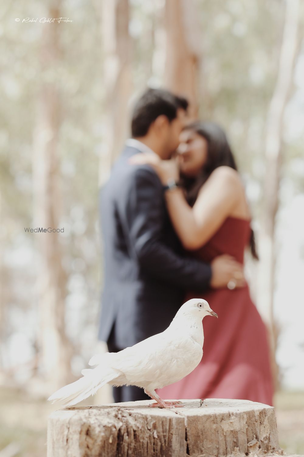 Photo From Pre-Wedding - By Rahul Gehlot Films