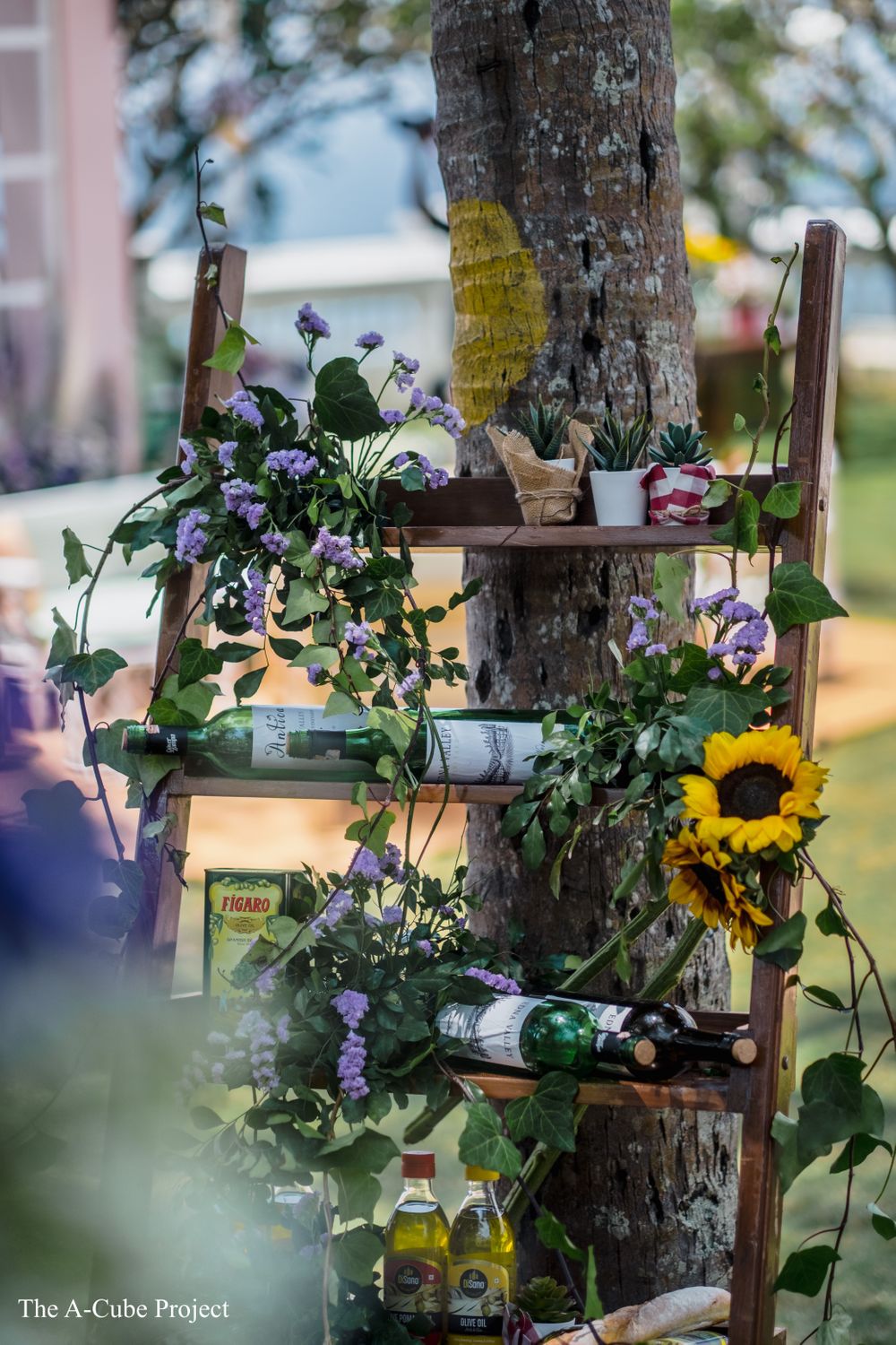 Photo of Wooden ladder decorated with flowers, planters and glass bottles