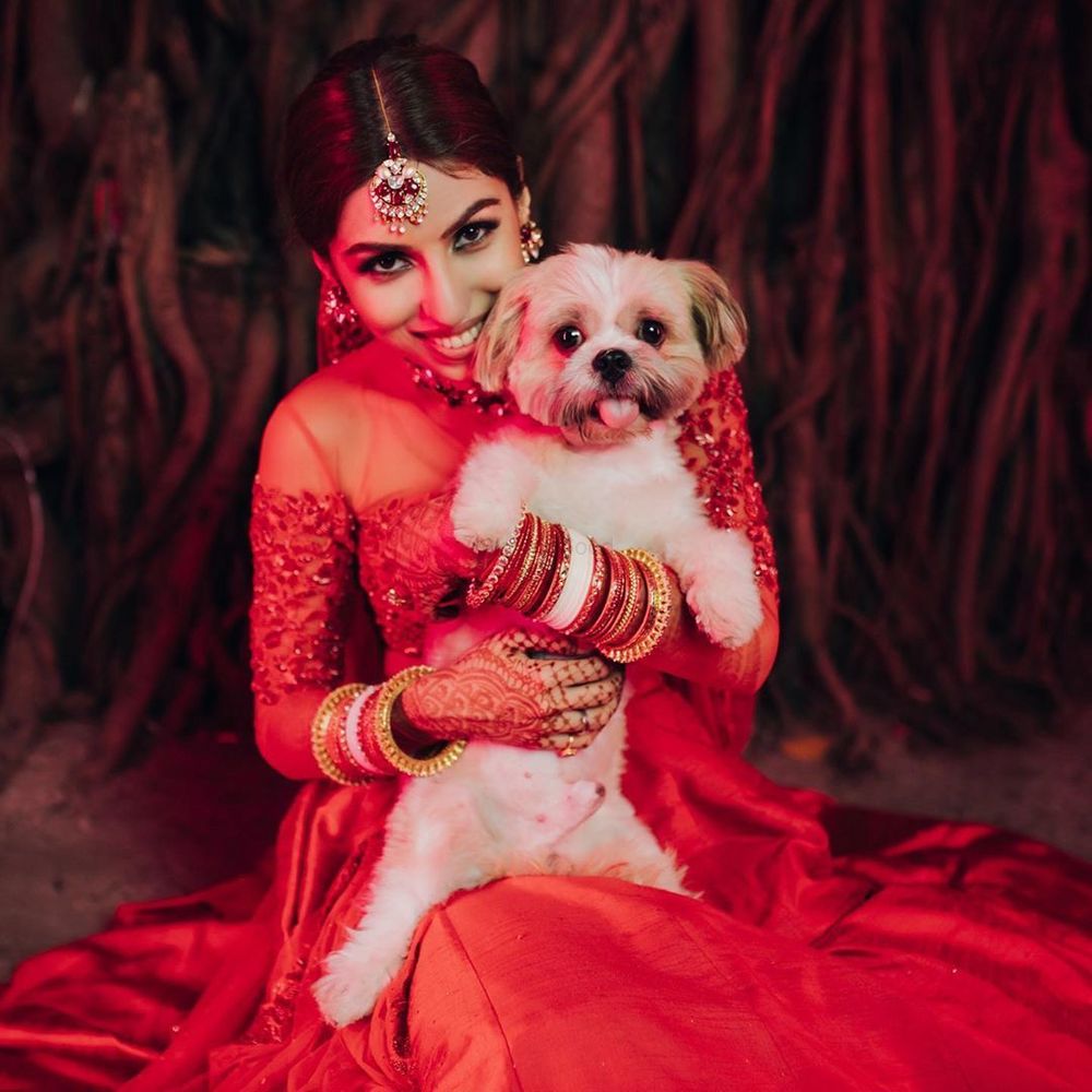 Photo of A cute bridal portrait of bride and her dog