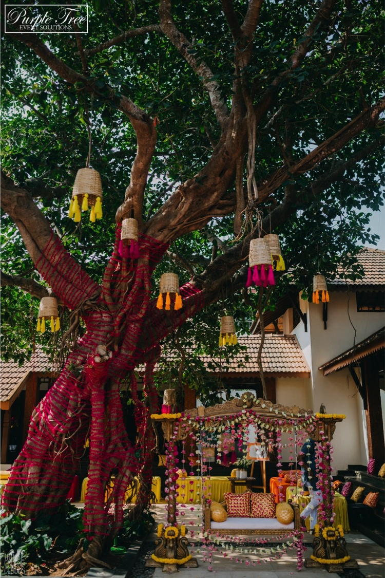 Photo of Tree decorated with upturned baskets with tassels