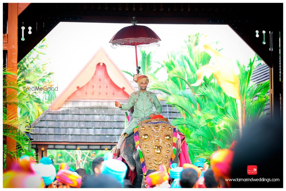 Photo of Groom Entering on an Elephant in Destination Wedding