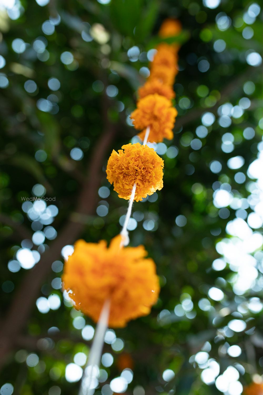 Photo From Mehendi  - By Noon Moon Events