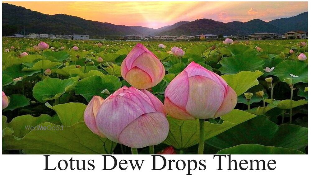 Photo From Lotus dew drops theme - By Melting Flowers