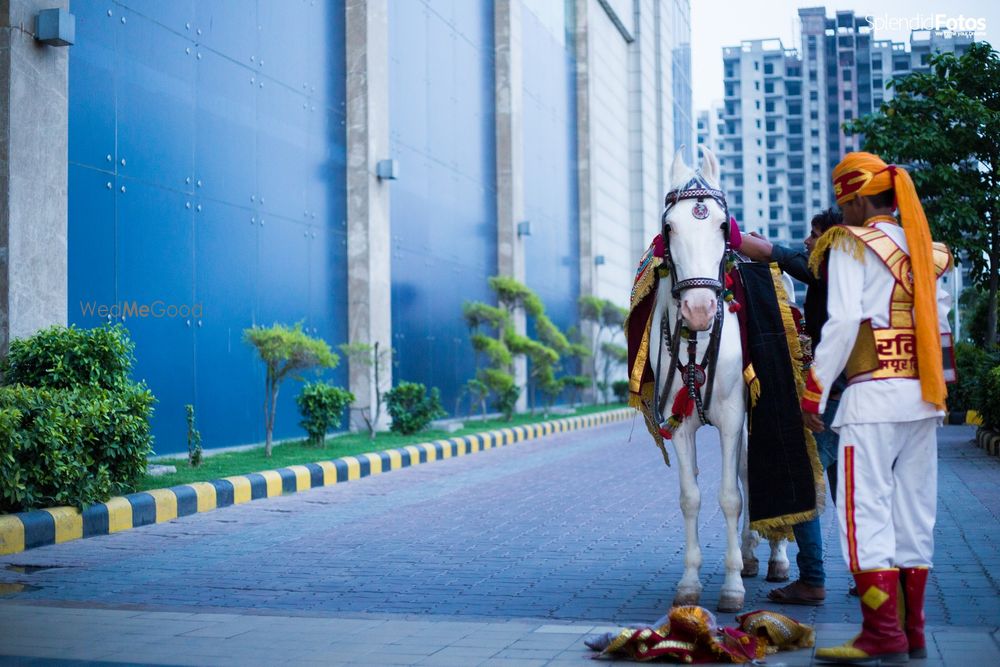 Photo From Shailesh and Snighdha - By SplendidFotos