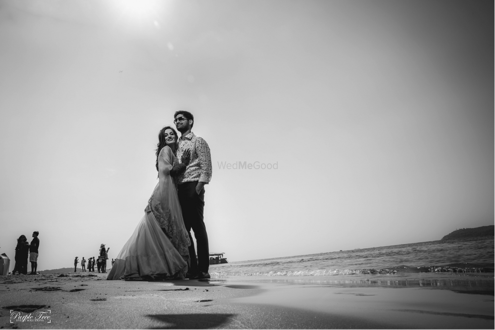 Photo From Kanishka and Atishay - By Purple Tree Events Solution
