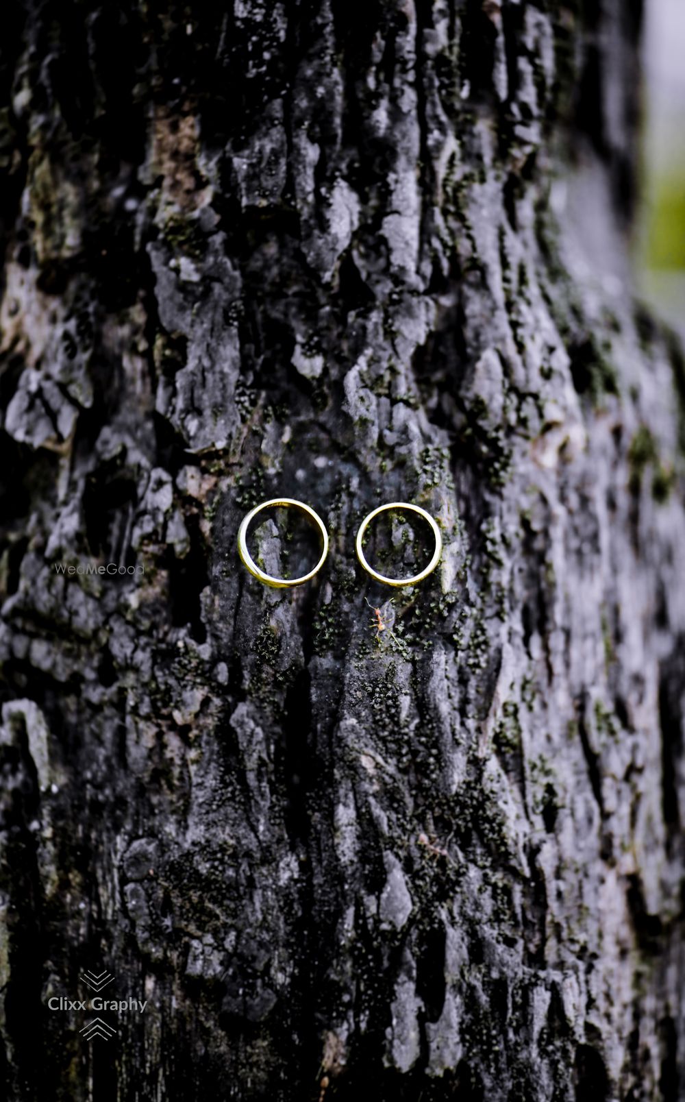 Photo From wedding - By Clixx_Graphy_