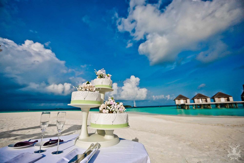 Photo of Wedding Cake