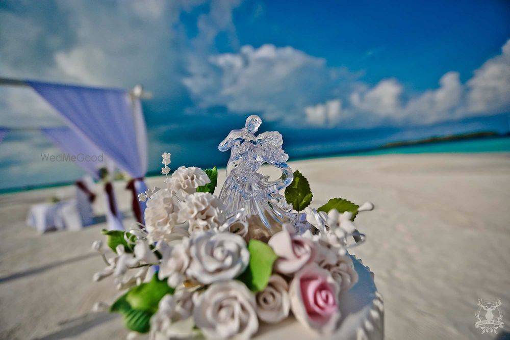 Photo From Maldives : Luxurious Destination Wedding  - By T'zires