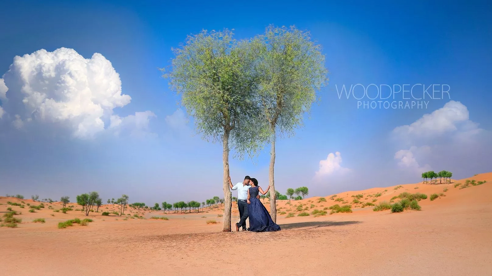 WoodPecker Photography