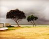 Wasava Cliffhouse