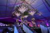 Starz Weddings