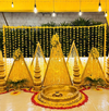 Vian Events & Management