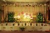 Cisne Weddings