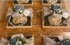 The Gifting Saga