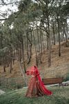 Himanshu Sharma Photography