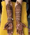 Anil and Sanjay Mehendi Art