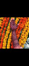 Mohit Mehandi Designs