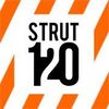 Strut120