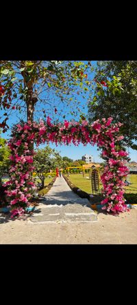 review-Panigrahana Wedding Planners