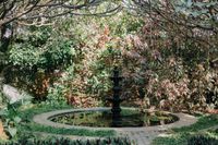 review-The Peacock Grove
