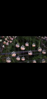 review-image-2-Sugarplum Event Company