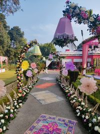 review-Blissfull Weddings