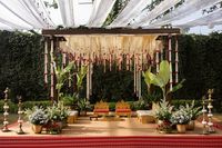 review-The Beginning