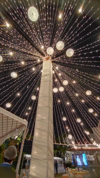 review-The Beginning