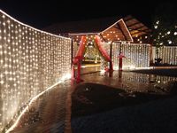 review-The Beginning