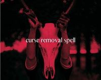 review-Ketan Astrologer