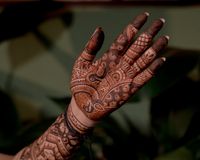 review-image-2-Misba Mehendi Artist