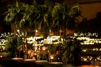 review-Foreign Wedding Planners