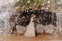 review-3Three Little Words