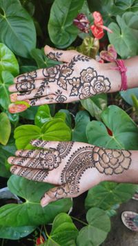 review-image-0-NKR Mehendi