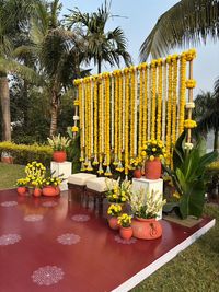 review-Weddings by Abhilasha