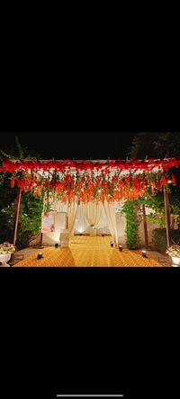 review-Devam Green by Primerose