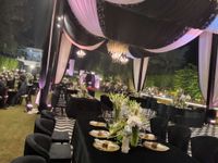 review-Devam Green by Primerose